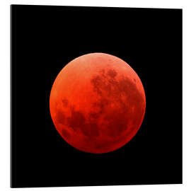 Gallery print Lunar eclipse on April 15, 2014