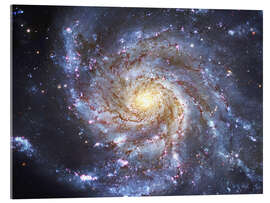 Acrylglasbild  Die Pinwheel-Galaxie bei Ursa Major - Robert Gendler