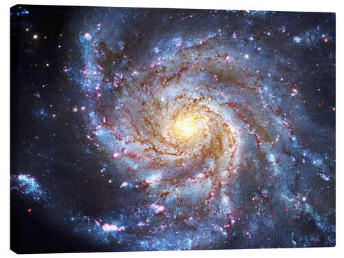 Canvastavla The Pinwheel Galaxy at Ursa Major