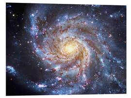 Foam board print The Pinwheel Galaxy at Ursa Major