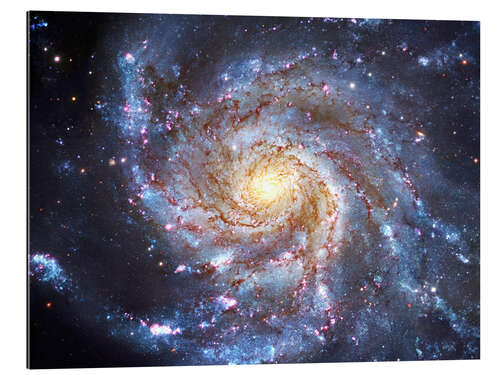 Gallery print The Pinwheel Galaxy at Ursa Major