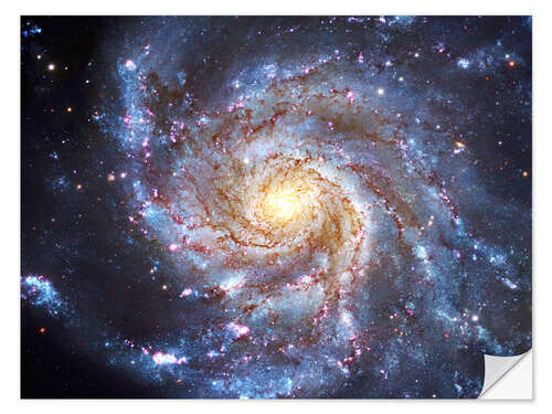 Muursticker The Pinwheel Galaxy at Ursa Major