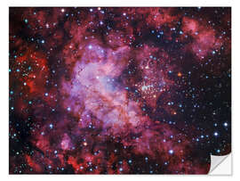 Adesivo murale Westerlund 2 (Gum 29) star cluster in Carina.