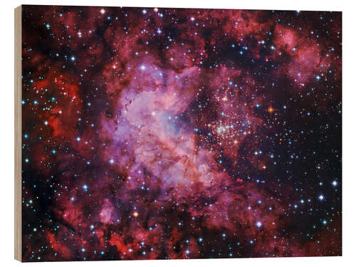 Wood print Westerlund 2 star clusters