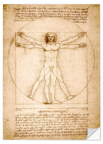 Sisustustarra Vitruvian man