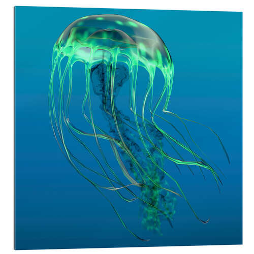 Gallery print Green jellyfish illustration.