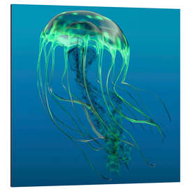 Magnettafel Illustration einer grünen Qualle