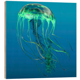 Stampa su legno Green jellyfish illustration.