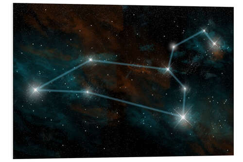 Foam board print Artist's depiction of the constellation Leo the Lion.