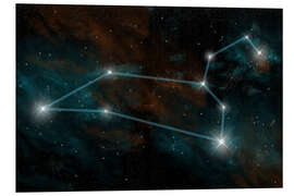 Foam board print Artist's depiction of the constellation Leo the Lion.