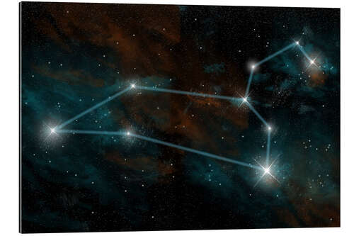 Galleritryk Artist's depiction of the constellation Leo the Lion.