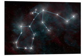 Foam board print Artist's depiction of the constellation Aquarius the Water Bearer.