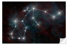 Wall sticker Artist's depiction of the constellation Aquarius the Water Bearer.