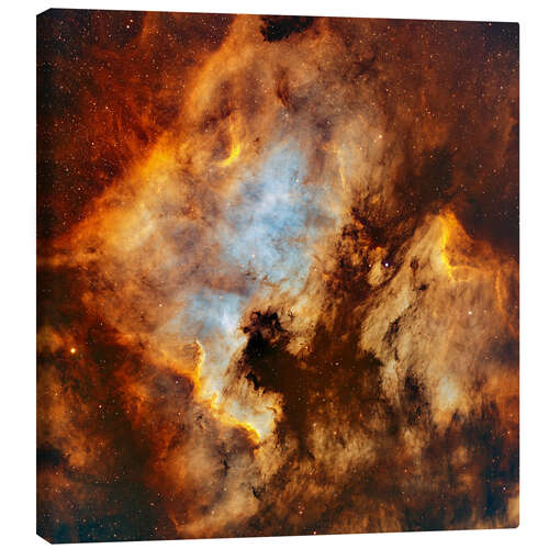 Canvas print The North America Nebula and Pelican Nebula in Cygnus.