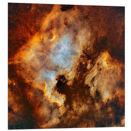 Foam board print The North America Nebula and Pelican Nebula in Cygnus.