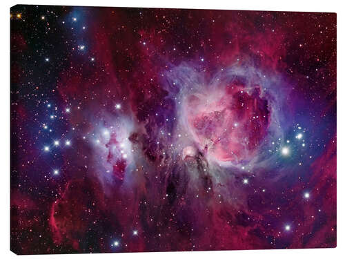 Canvas print The Orion Nebula with reflection nebula NGC 1977