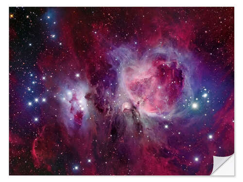 Wall sticker The Orion Nebula with reflection nebula NGC 1977