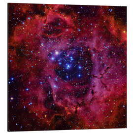 Aluminium print The Rosette Nebula