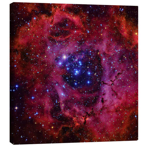 Canvastavla The Rosette Nebula