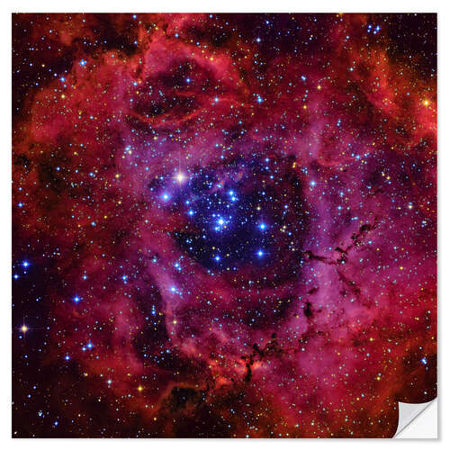 Sticker mural The Rosette Nebula