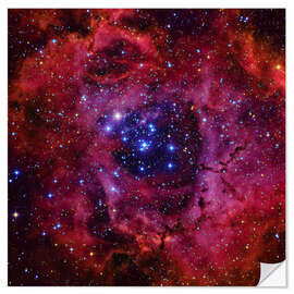 Adesivo murale The Rosette Nebula