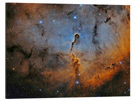 Cuadro de aluminio Elephant Trunk Nebula