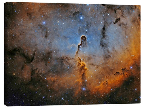 Canvas print Elephant Trunk Nebula