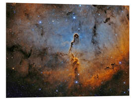 Foam board print Elephant Trunk Nebula