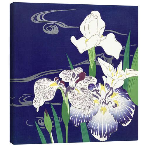 Leinwandbild Iris