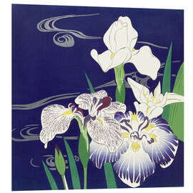 Foam board print Iris