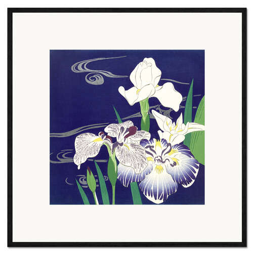 Gerahmter Kunstdruck Iris