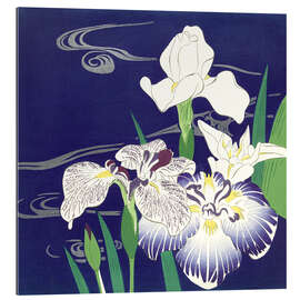 Gallery print Iris