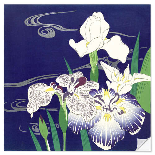 Wandsticker Iris