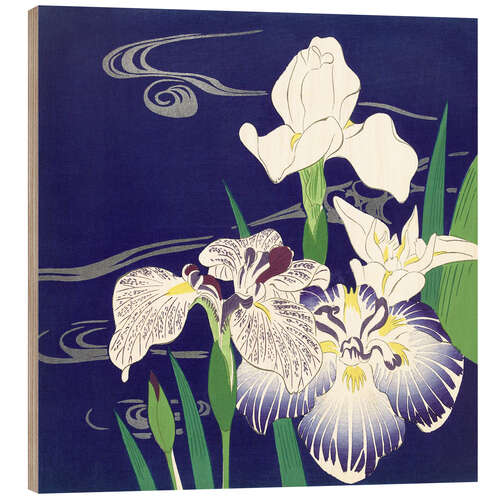 Wood print Iris