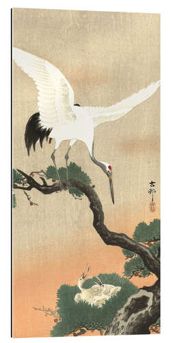 Galleriprint Crane on a pine