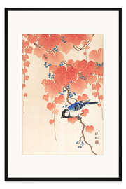 Gerahmter Kunstdruck Kohlmeise auf einem Paulownia Zweig
