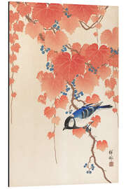 Magnettafel Kohlmeise auf einem Paulownia Zweig