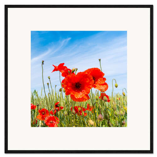Impresión de arte enmarcada red poppies