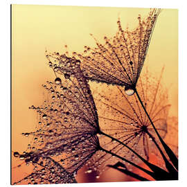 Magnettafel Pusteblume Sunset Dream