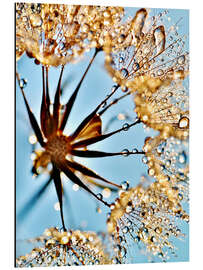 Magnettafel Pusteblume tausend Tropfen