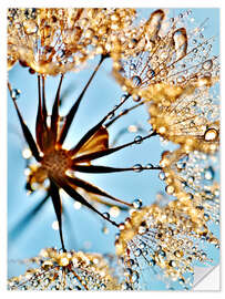 Vinilo para la pared Dandelion thousands drops