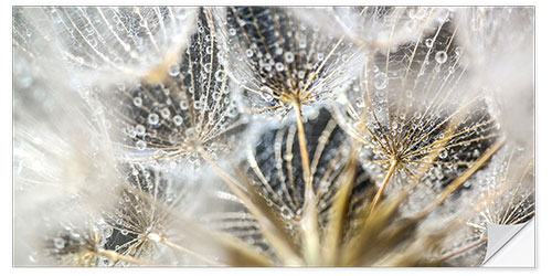 Wall sticker Dandelion Spirit