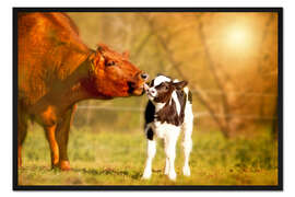 Gerahmter Kunstdruck Kuh und Kälbchen auf der Weide