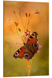 Magnettafel Tagpfauenauge auf Glockenblumen