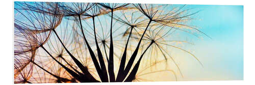 PVC print Dandelion Colorcatch II