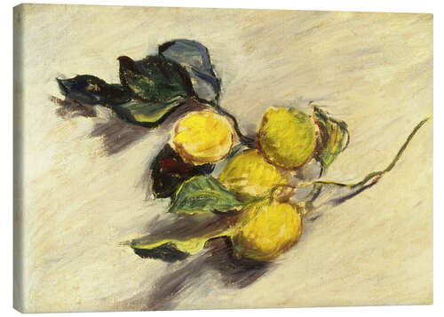 Canvas print Branch a lemon tree