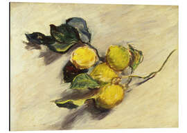 Magnettafel Zweig eines Zitronenbaums