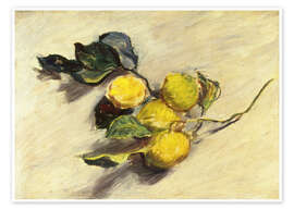 Poster Branch of Lemons