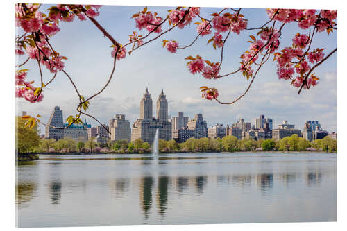 Akryylilasitaulu Buildings reflected in lake with cherry flowers in spring, Central Park, New York, USA