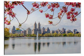 Tableau en aluminium Buildings reflected in lake with cherry flowers in spring, Central Park, New York, USA